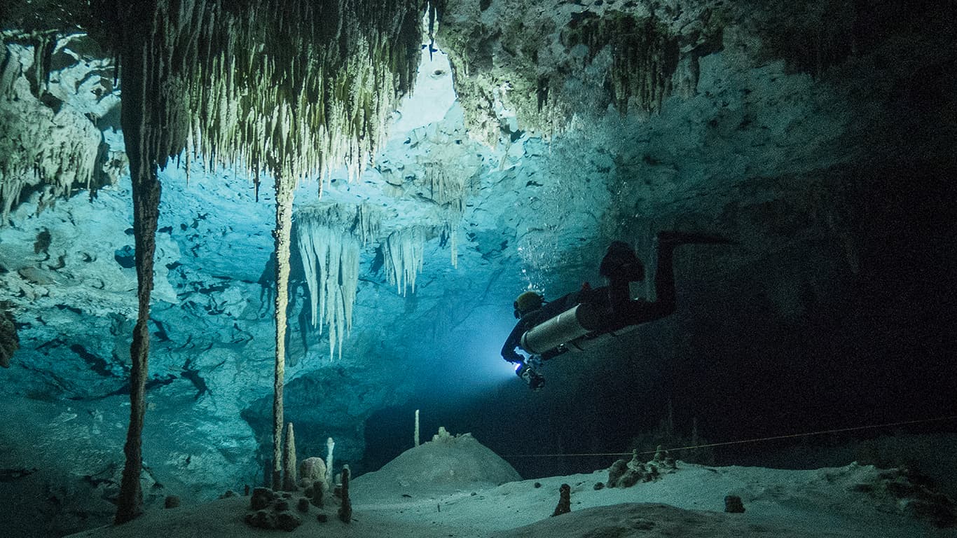 Playa del Carmen erleben: Tauchschule Playa del Carmen macht’s möglich