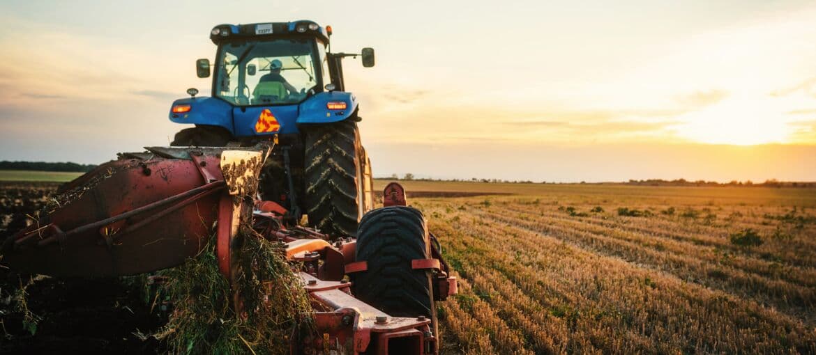 Arbeit für Landwirtschaftshelfer: Warum rumänische Helfer die ideale Wahl sind