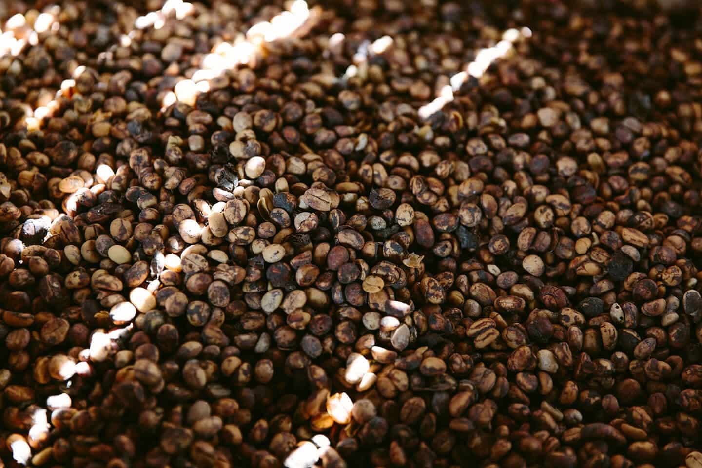 Espressobohnen: Die perfekte Wahl für Kaffeeliebhaber