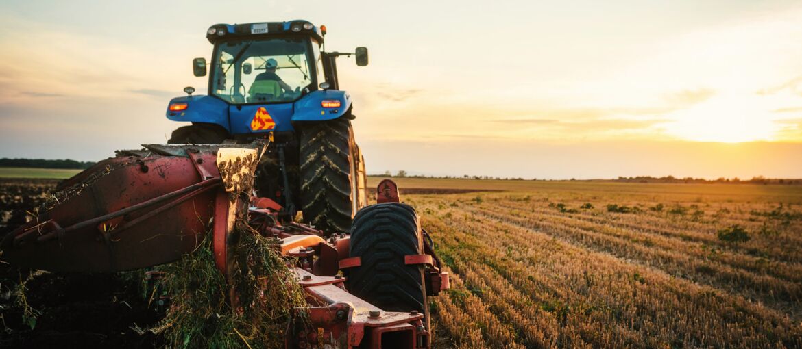 Arbeit für Landwirtschaftshelfer: Warum rumänische Helfer die ideale Wahl sind