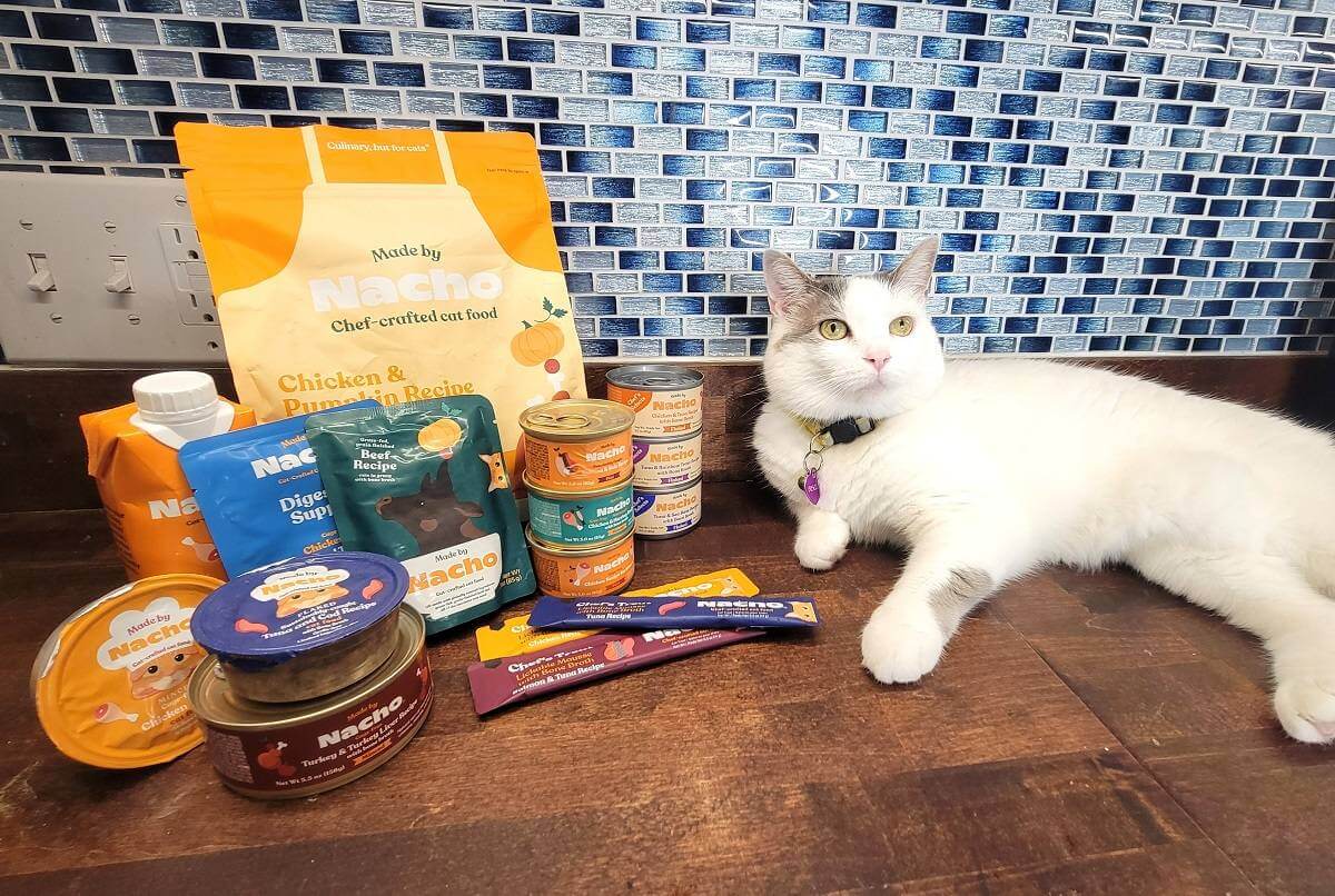 made by nacho cat food review